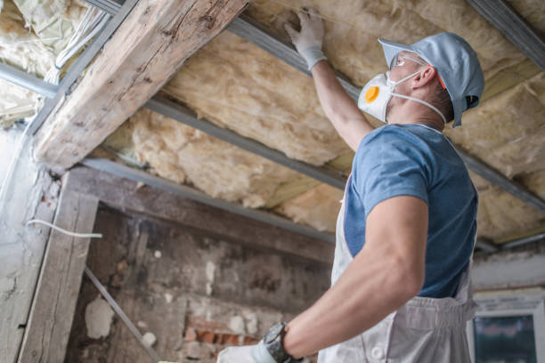  Park View, IA Insulation Contractor Pros