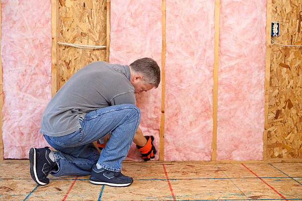 Best Insulation Materials and Products in Park View, IA